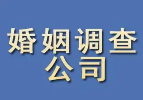 青岛侦探事务所